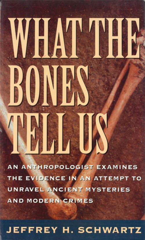 Cover of the book What the Bones Tell Us by Jeffrey H. Schwartz, Henry Holt and Co.