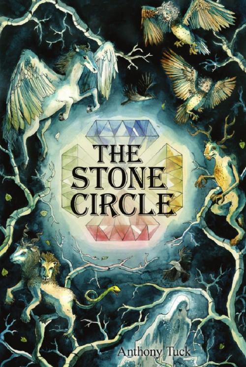Cover of the book The Stone Circle by Anthony Tuck, Wheatmark, Inc.