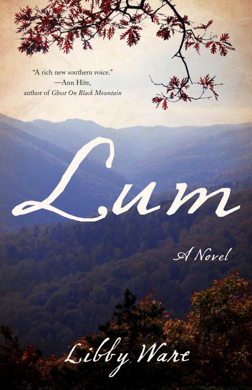Cover of the book Lum by Libby Ware, She Writes Press