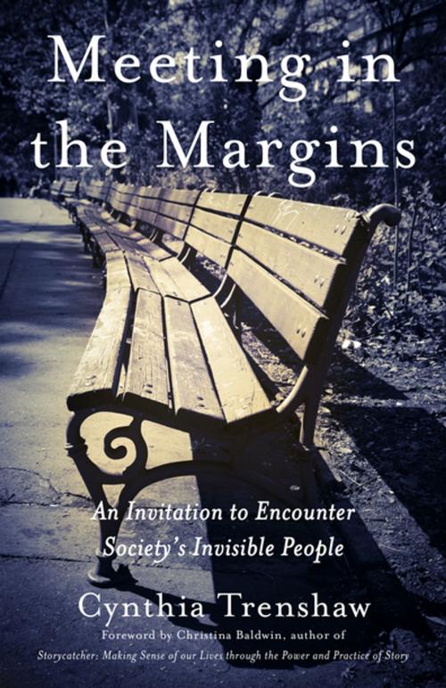 Cover of the book Meeting in the Margins by Cynthia Trenshaw, She Writes Press