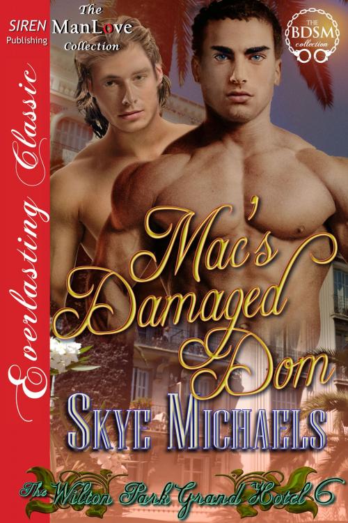 Cover of the book Mac's Damaged Dom by Skye Michaels, Siren-BookStrand
