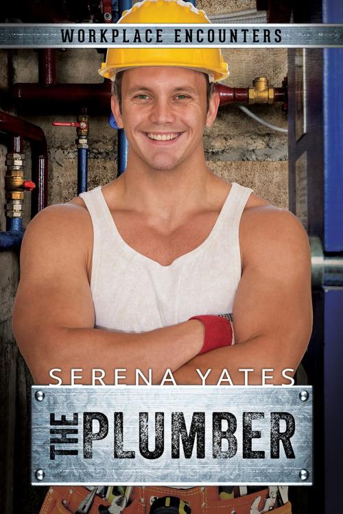 Cover of the book The Plumber by Serena Yates, Dreamspinner Press