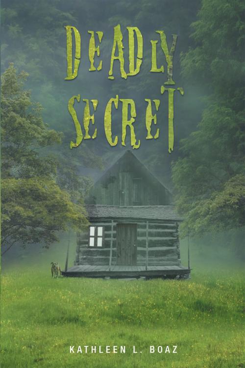 Cover of the book Deadly Secret by Kathleen Boaz, Page Publishing, Inc.
