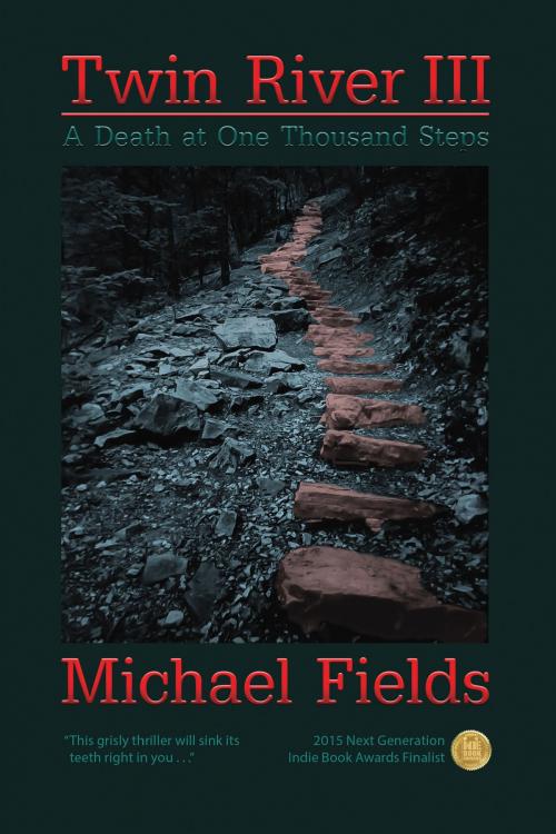 Cover of the book Twin River III by Michael Fields, BookBaby