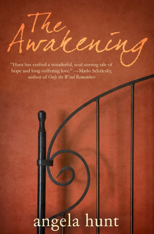 Cover of the book The Awakening by Angela Hunt, Diversion Books