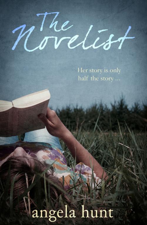Cover of the book The Novelist by Angela Hunt, Diversion Books