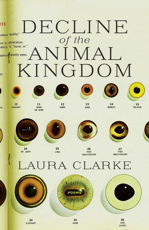 Cover of the book Decline of the Animal Kingdom by Laura Clarke, ECW Press