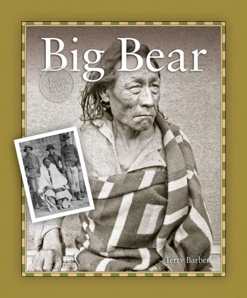 Cover of the book Big Bear by Terry Barber, Grass Roots Press