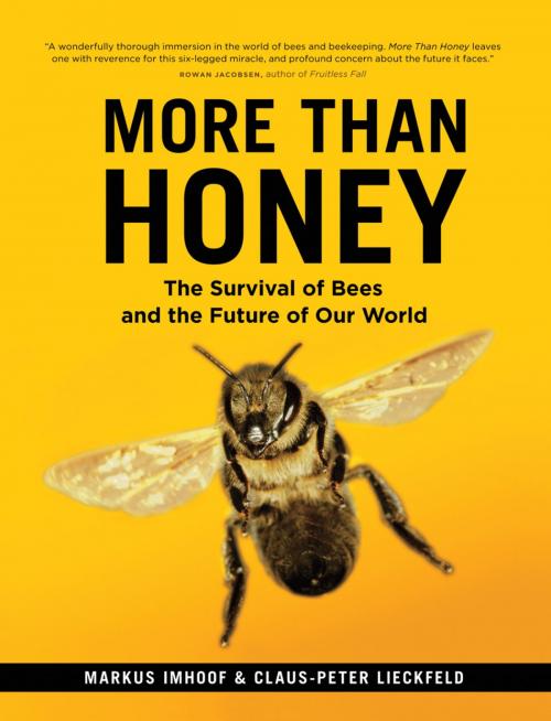 Cover of the book More than Honey by Markus Imhoof, Claus-Peter Lieckfeld, Greystone Books Ltd.