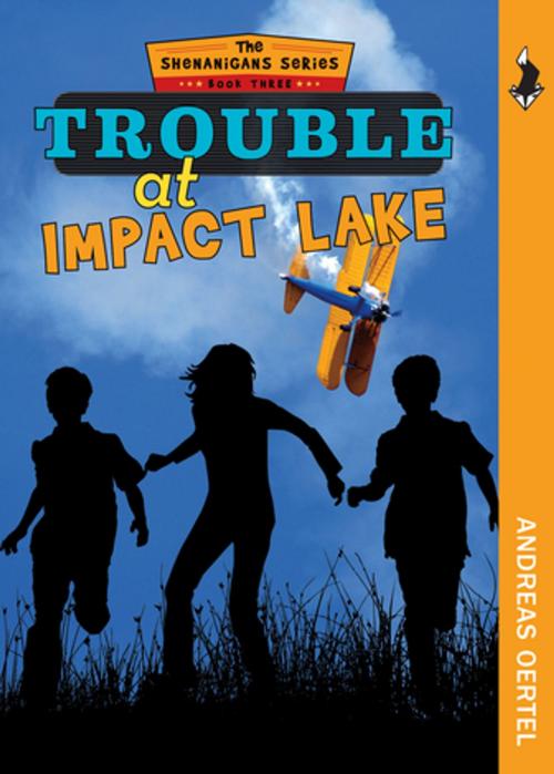 Cover of the book Trouble at Impact Lake by Andreas Oertel, Heritage House