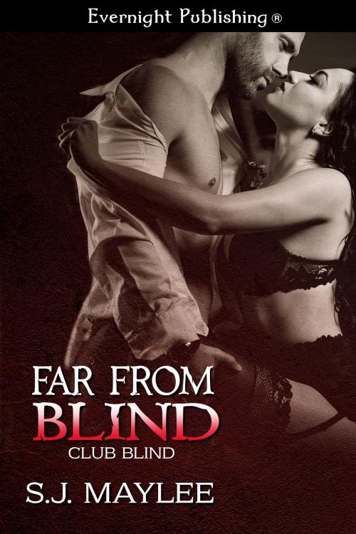 Cover of the book Far from Blind by S.J. Maylee, Evernight Publishing