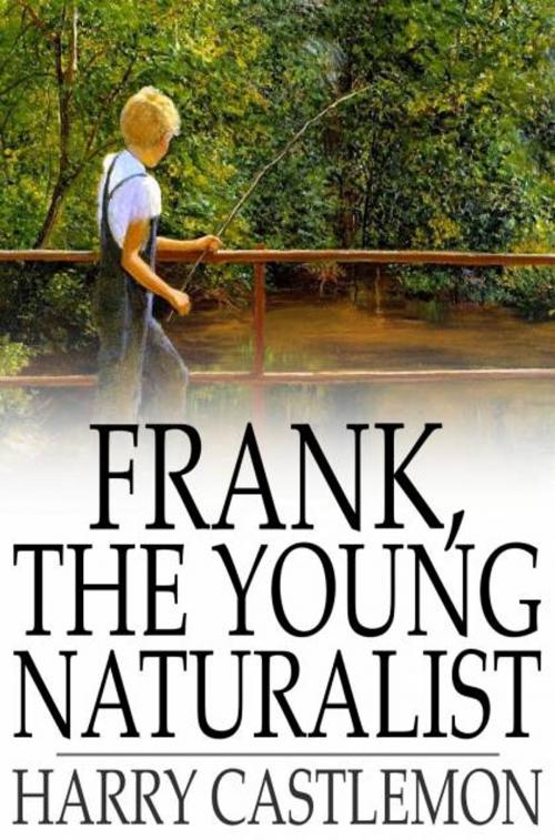 Cover of the book Frank, the Young Naturalist by Harry Castlemon, The Floating Press