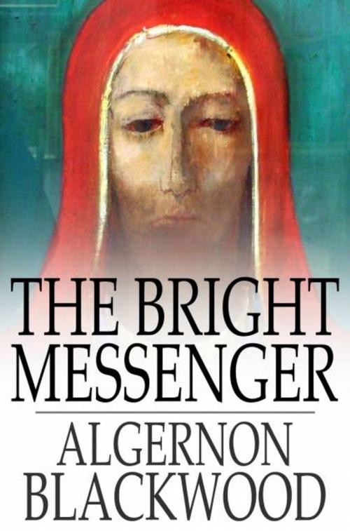 Cover of the book The Bright Messenger by Algernon Blackwood, The Floating Press