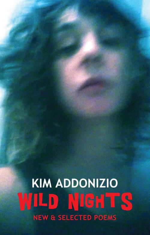 Cover of the book Wild Nights by Kim Addonizio, Bloodaxe Books