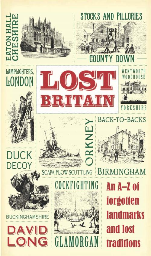 Cover of the book Lost Britain by David Long, Michael O'Mara