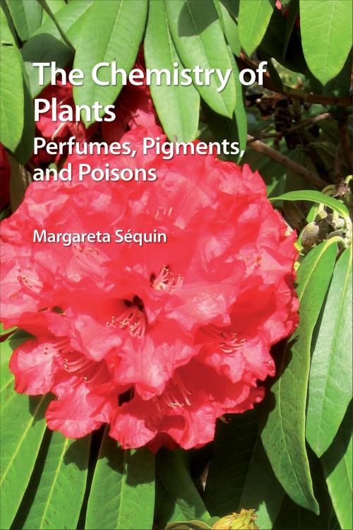 Cover of the book The Chemistry of Plants by Margareta Sequin, Royal Society of Chemistry