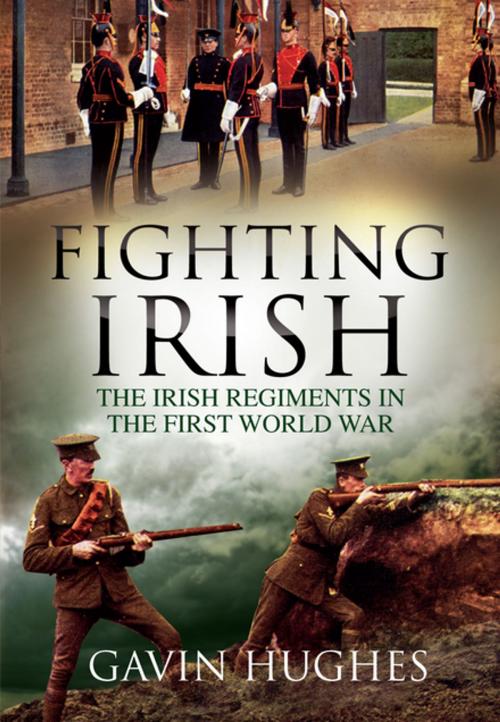 Cover of the book Fighting Irish by Gavin Hughes, Irish Academic Press