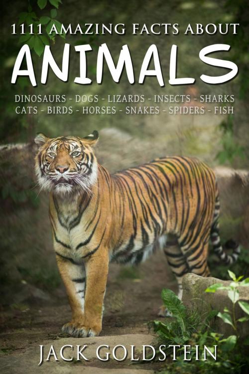 Cover of the book 1111 Amazing Facts about Animals by Jack Goldstein, Andrews UK