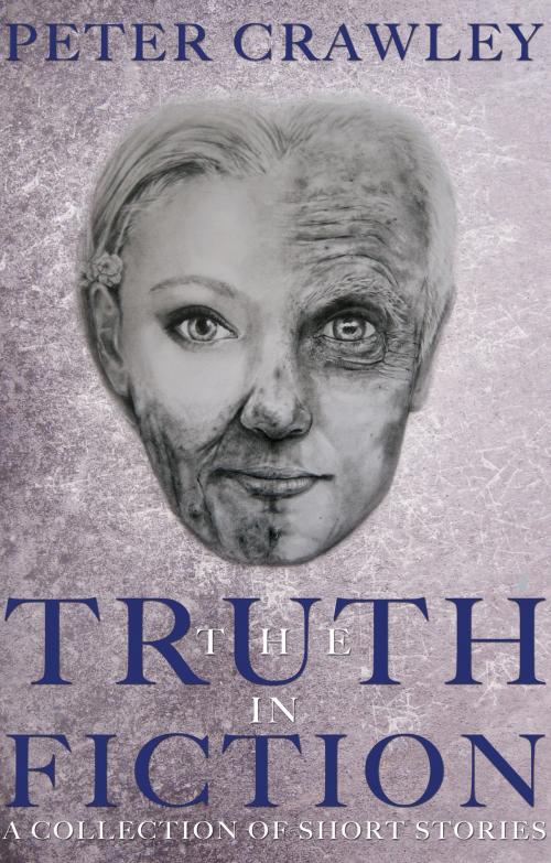 Cover of the book The Truth In Fiction by Peter Crawley, Troubador Publishing Ltd