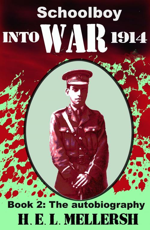 Cover of the book Schoolboy into war by H.E.L. Mellersh, Troubador Publishing Ltd