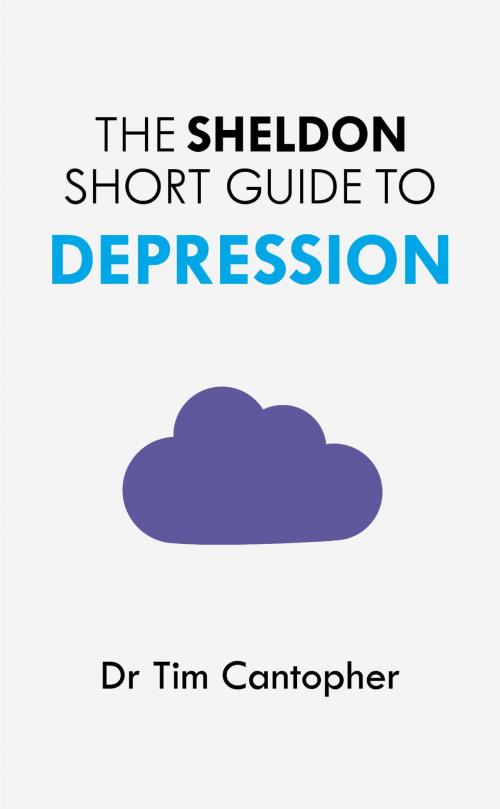 Cover of the book The Sheldon Short Guide to Depression by Tim Cantopher, John Murray Press