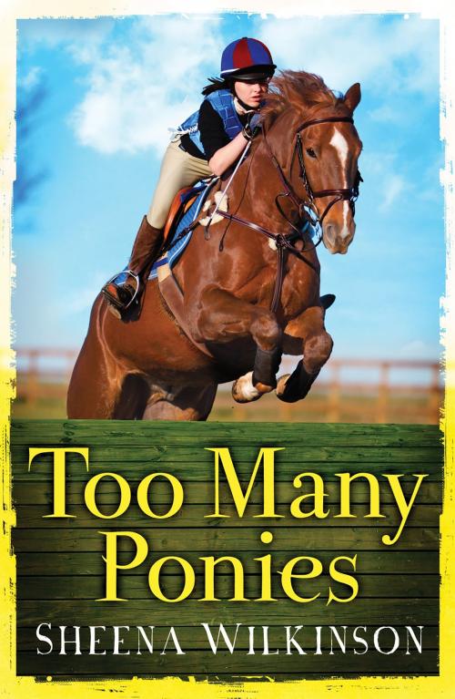 Cover of the book Too Many Ponies by Sheena Wilkinson, Little Island Books