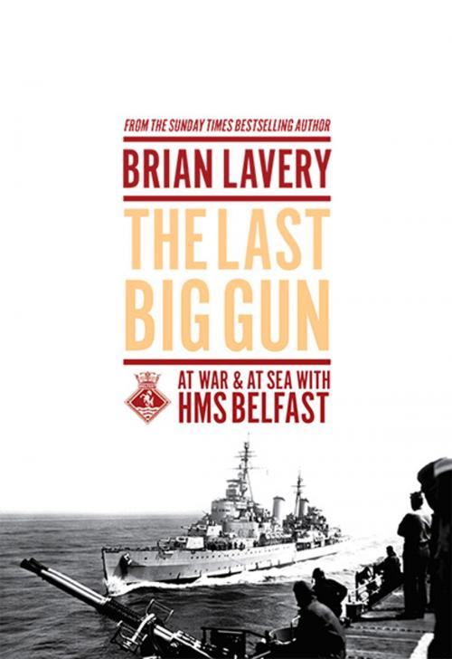Cover of the book The Last Big Gun by Brian Lavery, Pool of London Press