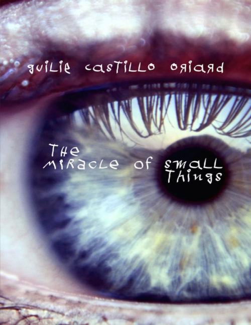 Cover of the book The Miracle of Small Things by Guilie Castillo Oriard, Truth Serum Press
