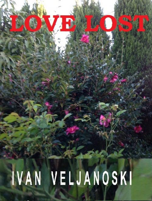 Cover of the book Love Lost by Ivan Veljanoski, Fontaine Publishing Group