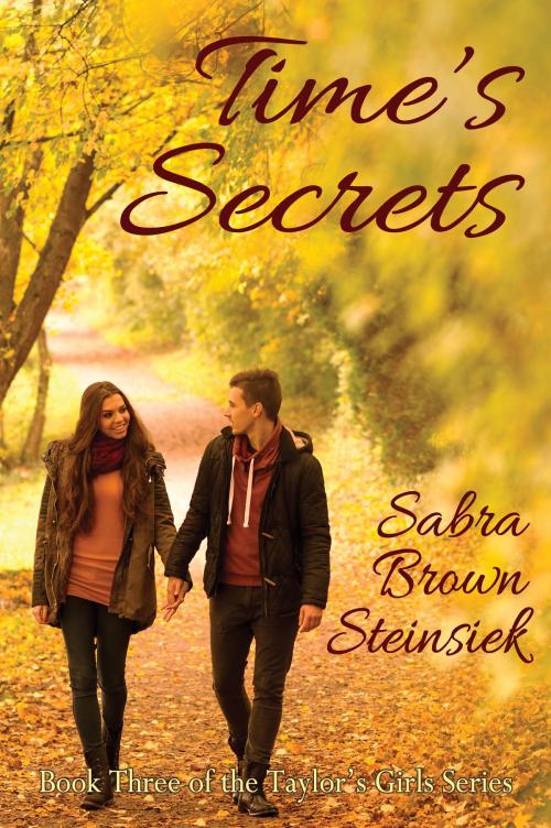 Cover of the book Time's Secrets by Sabra Brown Steinsiek, Artemesia Publishing, LLC