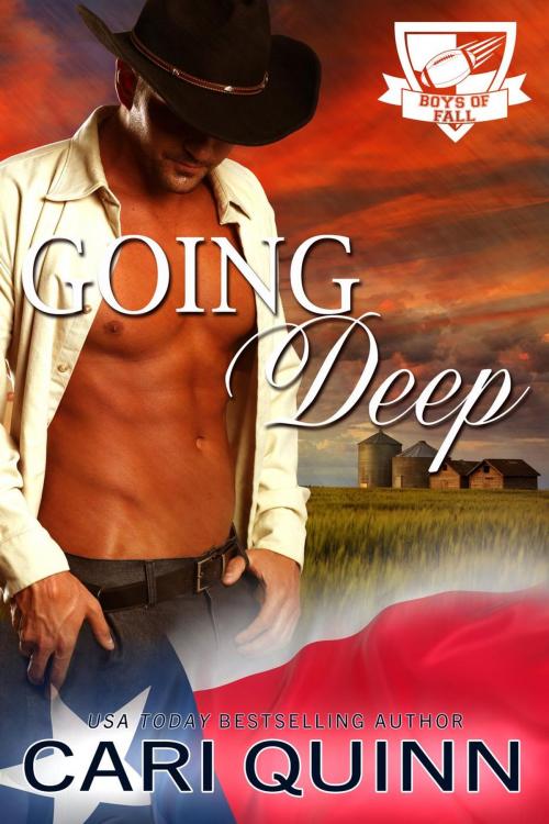 Cover of the book Going Deep by Cari Quinn, Rainbow Rage Publishing
