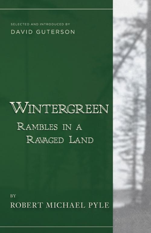 Cover of the book Wintergreen by Robert  Michael Pyle, Counterpoint