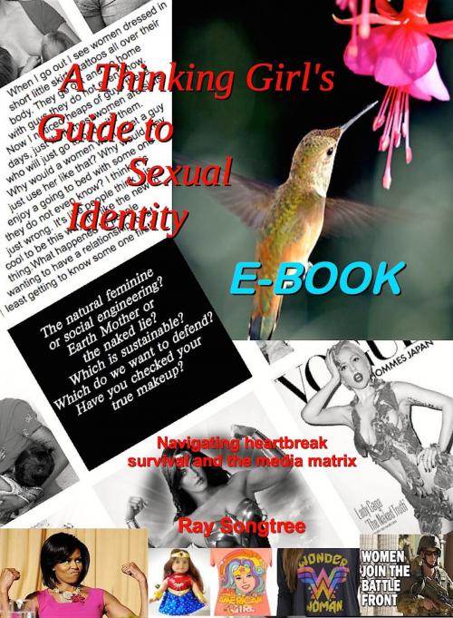 Cover of the book A Thinking Girl's Guide to Sexual Identity (Vol. 1, Lipstick and War Crimes Series) by Ray Songtree, Kauai Transparency Initiative International