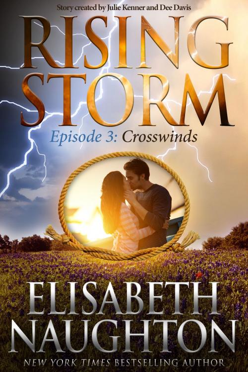 Cover of the book Crosswinds, Episode 3 by Elisabeth Naughton, Evil Eye Concepts, Inc.