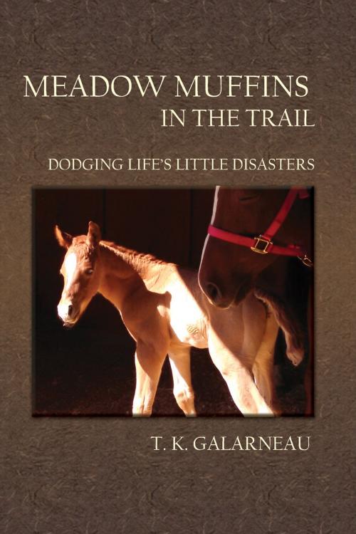 Cover of the book Meadow Muffins in the Trail by T.K. Galarneau, Bedazzled Ink Publishing, LLC