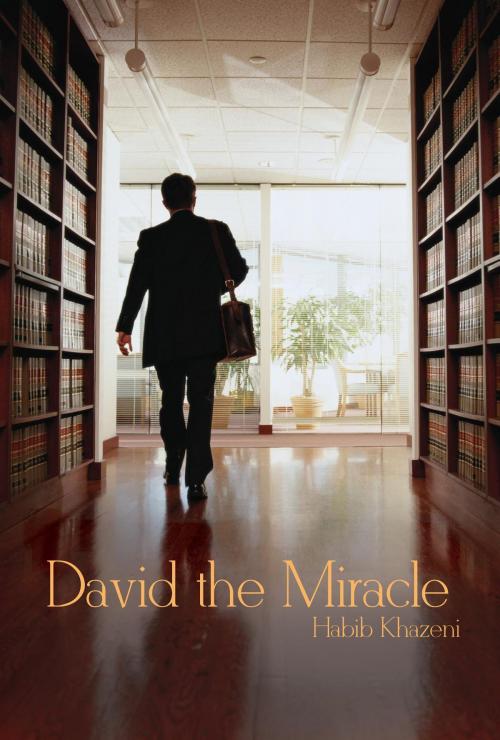 Cover of the book David the Miracle by Habib Khazeni, Green Ivy