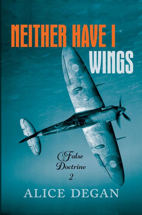 Cover of the book Neither Have I Wings by Alice Degan, Sexton's Cottage Books