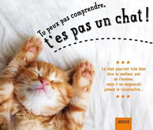 Cover of the book Tu peux pas comprendre, t'es pas un chat ! by Alice Zabée, Larousse