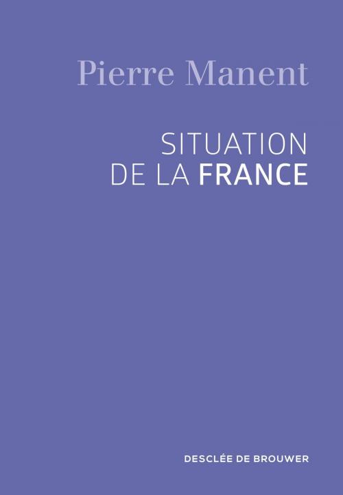 Cover of the book Situation de la France by Pierre Manent, Desclée De Brouwer