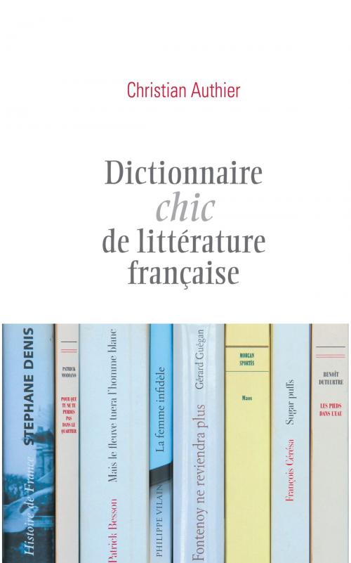 Cover of the book Dictionnaire chic de littérature française by Christian Authier, Ecriture