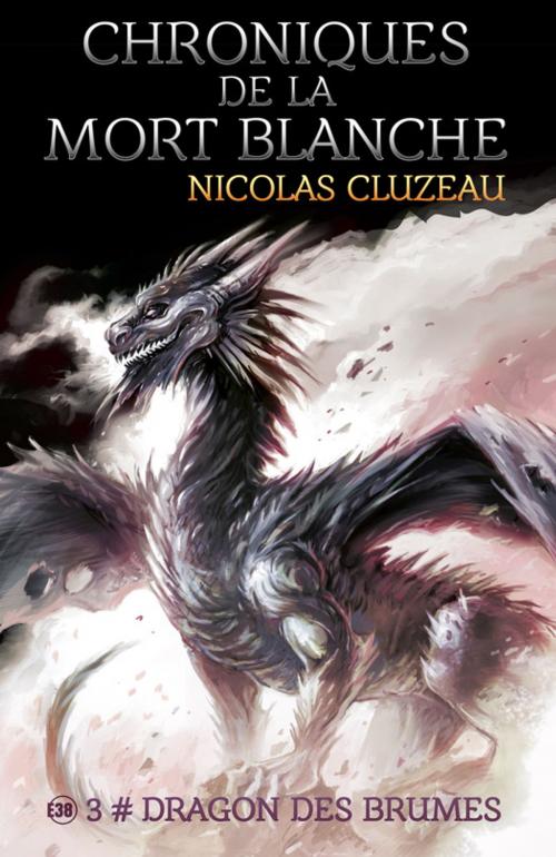 Cover of the book Dragon des brumes by Nicolas Cluzeau, Les éditions du 38