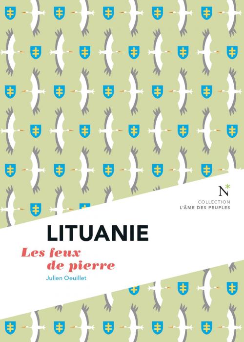 Cover of the book Lituanie : Les feux de pierre by Julien Oeuillet, Nevicata
