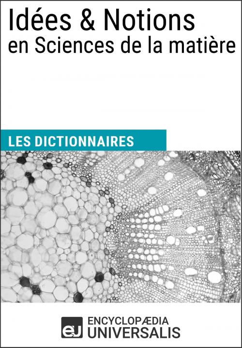 Cover of the book Dictionnaire des Idées & Notions en Sciences de la matière by Encyclopaedia Universalis, Encyclopaedia Universalis