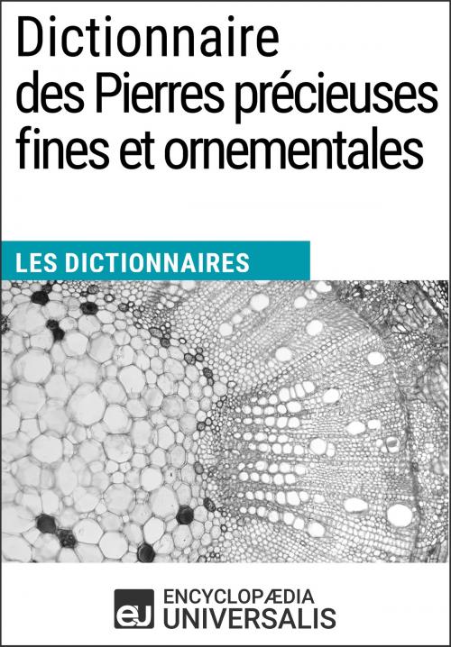 Cover of the book Dictionnaire des Pierres précieuses fines et ornementales by Encyclopaedia Universalis, Encyclopaedia Universalis