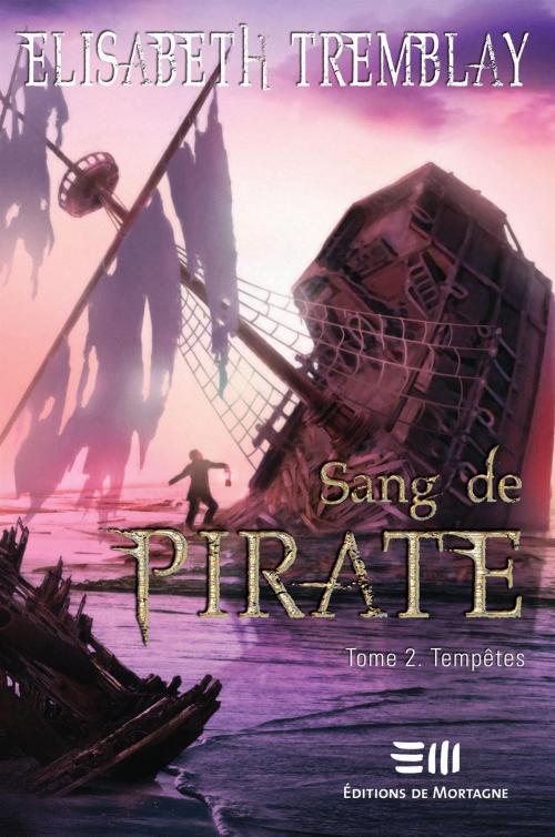 Cover of the book Sang de Pirate by Elisabeth Tremblay, DE MORTAGNE