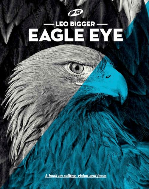 Cover of the book Eagle Eye by Leo Bigger, ICF Media