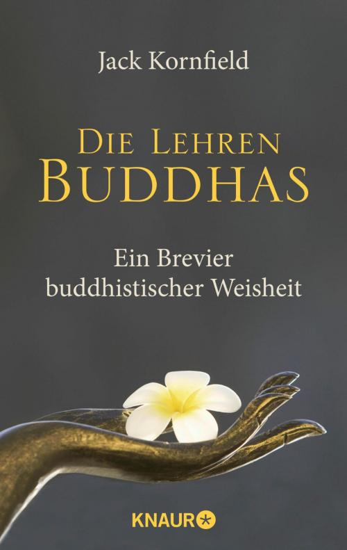Cover of the book Die Lehren Buddhas by Jack Kornfield, Knaur MensSana eBook
