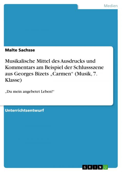 Cover of the book Musikalische Mittel des Ausdrucks und Kommentars am Beispiel der Schlussszene aus Georges Bizets 'Carmen' (Musik, 7. Klasse) by Malte Sachsse, GRIN Verlag