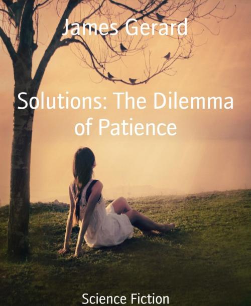 Cover of the book Solutions: The Dilemma of Patience by James Gerard, BookRix