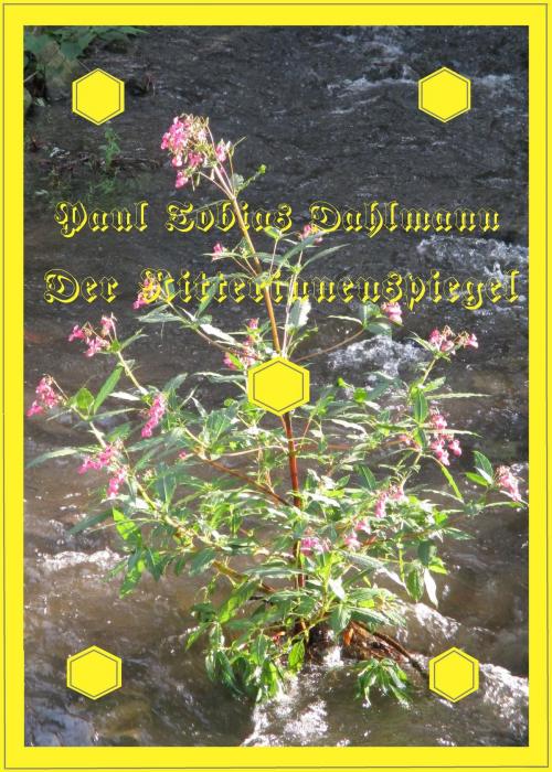 Cover of the book Der Ritterinnenspiegel by Paul Tobias Dahlmann, neobooks